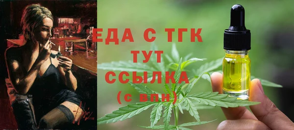 индика Абаза