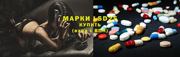 индика Абаза