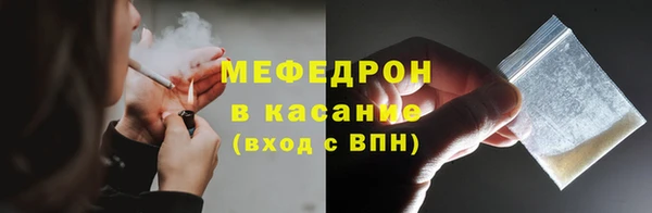 индика Абаза