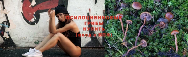 ПСИЛОЦИБИНОВЫЕ ГРИБЫ Покров