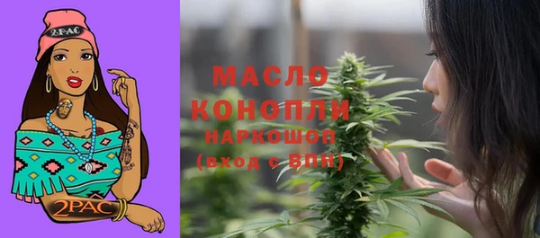 индика Абаза