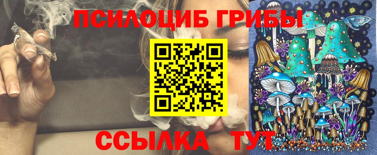 Алапаевск  Псилоцибиновые грибы прущие грибы  наркотики  Вход с VPN 
